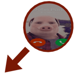 🐖 John Pork Meme With Red Circle and Arrow 🐷