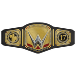 John's 17th Wrestling Championship Title Belt