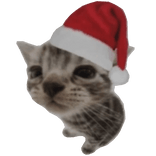 Jolly Christmas Cat Left Shoulder Accessory
