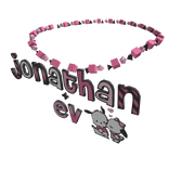 jonathan + ev 1.0 necklace