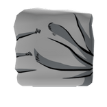 Jotaro's Right Shoulder