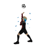 Kaiser Celebration Shoulder Pal