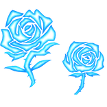 Kaiser Rose METAVISION