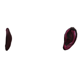 Kenpachi Ears TYBW V1