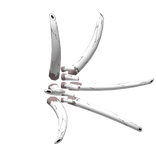 kimimaro spikes