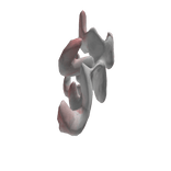 Kitsune Tail (Remastered)