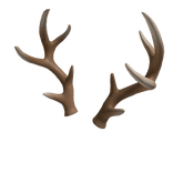 Large Antlers