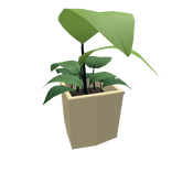 Leafs plant pack