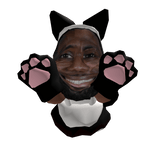 Lebron James Maid