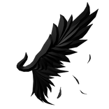 Left Black Half Angel Wing