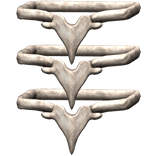 Left Arm Bone Bangle