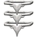 Left Arm White Bone Bangle