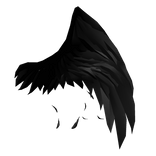 Left Black Half Angel Wing