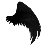 Left Black Half Angel Wing