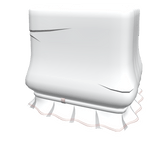 [Left] Kazusa SR Shirt Sleeve