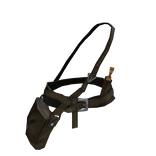 Legendary Rogue Equipment Belt