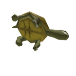 Leland the Lolturtle