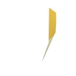 Lemon Shork Dorsal Fin