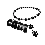 lex camAccessory