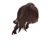 Li Sushangs Hair | HI3