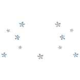 Light Blue Daisy Flower Aura