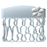  ♡ light blue summer hibiscus flower hawaiian top