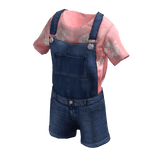 ✨ Lilo Pink Flowers Shirt and Overalls