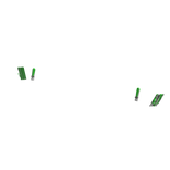 ⚜️•Lime Rich Freestyle French Nails 