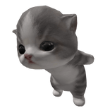 Little Kitten Carry [MINI]