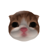 Little Kitten Head