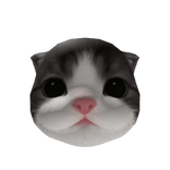 Little Kitten Head