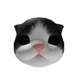 Little Kitten Head