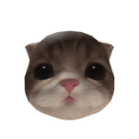 Little Kitten Head