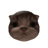 Little Kitten Head