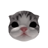 Little Kitten Head