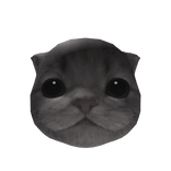 Little Kitten Head