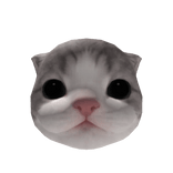 Little Kitten Head
