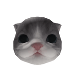 Little Kitten Head