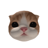 Little Kitten Head