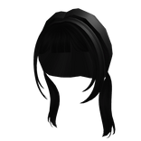 Long Black Pigtails With Bangs 