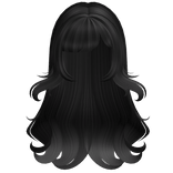 ♡Long Black y2k hair