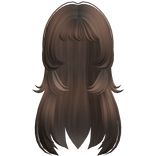 Long Brown Messy Hair