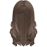 Long Curly Fluffy Hair (Brown)