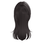 long flowy straight hair with bangs in brown 