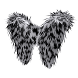 Long Fur White Leopard