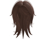 long messy hair with side bangs brown