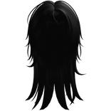 long sleepy wolfcut in black