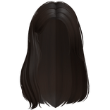 Long Soft Graceful Shy Girl Hair (Dark Brown)