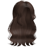 Long Wispy Wavy Hair (Dark Brown)