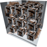 Gift of Fading Foolishness